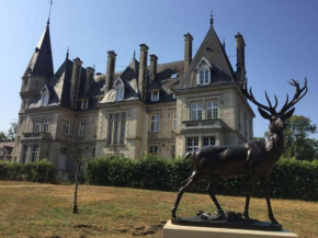 Napoleon Chateau Luxuryapartment for 18 -20 guests with Pool near Paris!